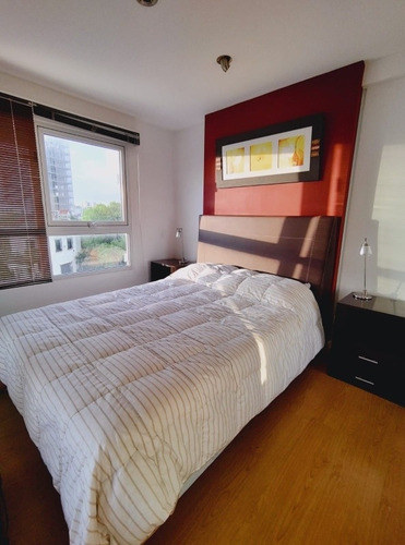 Imagen 16 de 20 de Alquiler Marzo Departamento 3 Ambientes En Mar Del Plata