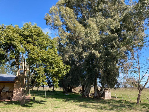 Imagen 2 de 15 de Campo 9ha En Las Flores