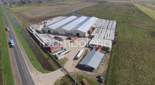 Terreno En Venta Ubicado En Alvear, Rosario, Santa Fe