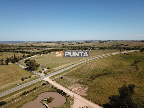 Imagen 8 de 13 de Campo En Garzón Venta Turístico