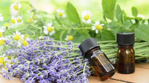 Aceites Esenciales Para Mejorar La Memoria Aanpür 10 Ml