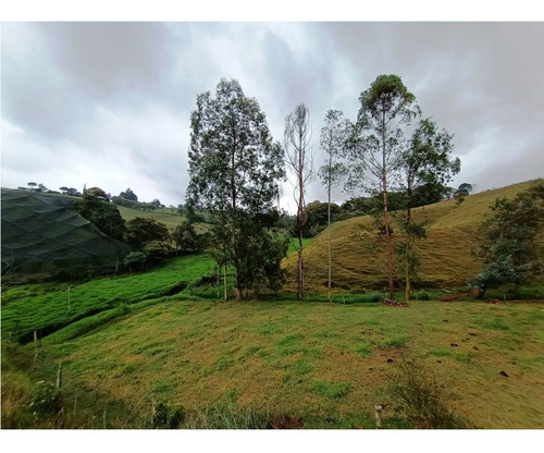 Precio De Oportunidad. Vendo Lindo Lote En Condominio Cerrado Vereda Quirama El Carmen De Viboral