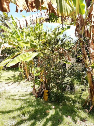 Imagem 9 de 25 de Casa A Venda Sibauma