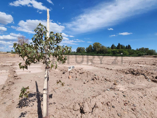 Century21lopez Vende Lote En Barrio El Bosque Beltran Maipu