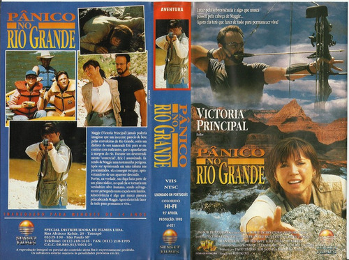 Feitiço Do Rio - Um Verão Muito Louco - Demi Moore (Usado)