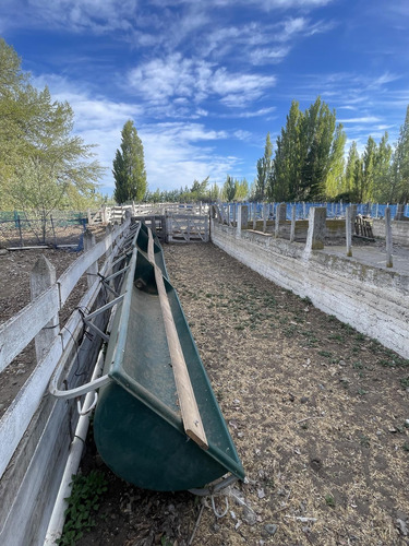 Campo En Perito Moreno