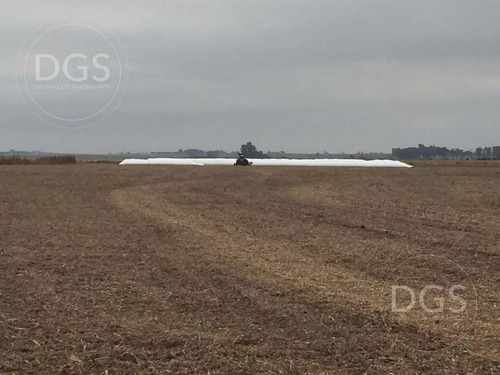 Imagen 11 de 11 de Campo De 107.000m2 En Gualeguay - Entre Rios