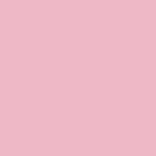 Pintura Acrílica De Tela 1 Onza Color Rosa