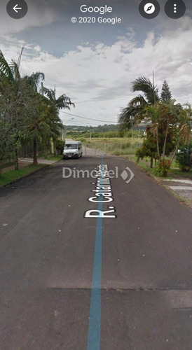 Imagem 4 de 7 de Terreno - Vila Nova - Ref: 13695 - V-13695