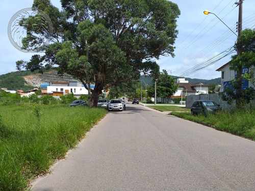 Apartamento - Rio Tavares - Ref: 1490 - V-1527