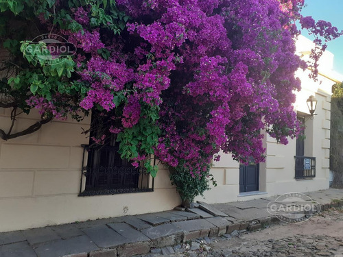 Imagen 4 de 19 de Venta Casa En Barrio Histórico Colonia Del Sacramento