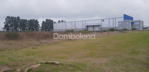 Imagen 24 de 30 de Depósito Galpón En Venta O Permuta Ubicado En General Rodríguez, General Rodríguez