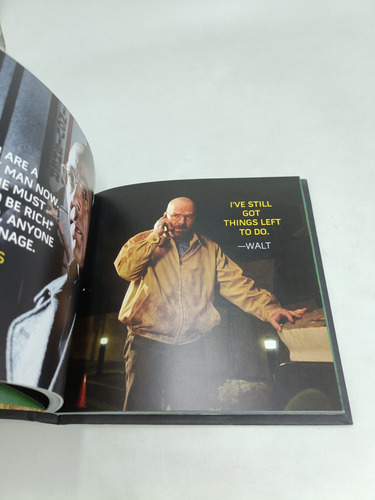 Libro I Am The Danger Breaking Bad (Usado)