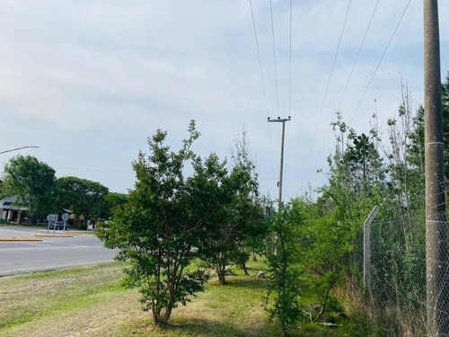 Imagen 4 de 8 de Venta De 4 Hectareas 7000m2 Sobre Ruta N5 Ciudad Parque Los Reartes - Tlc0644