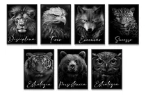 Comprar 7 Quadros Decorativos Animais Leão Escritório Grande Sala