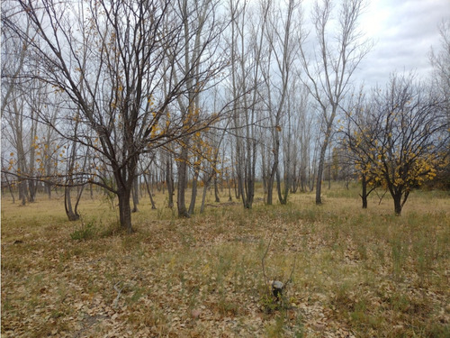 Vendo Finca Monte Coman