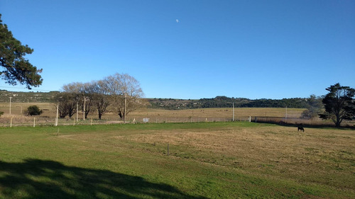 Campo En Venta Provincia De Buenos Aires Ruta 226