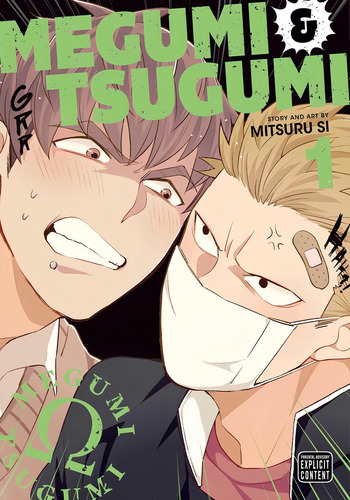 Megumi & Tsugumi, Vol. 1 (1), De Si, Mitsuru. Editorial Oem, Tapa Blanda En Inglés