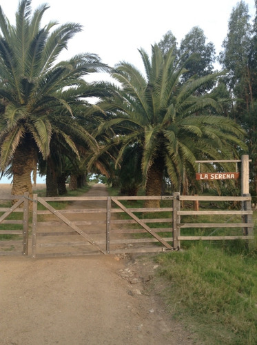 Muy Lindo Campo De 52 Has A 45 Mins De Mdeo