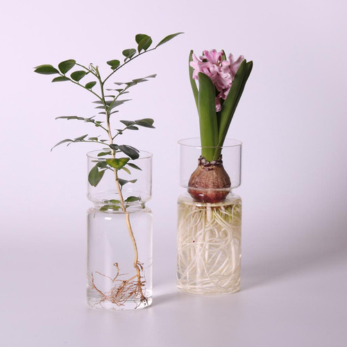 8 Micro Paisaje Florero De Cristal Jardín De Hadas Terrario