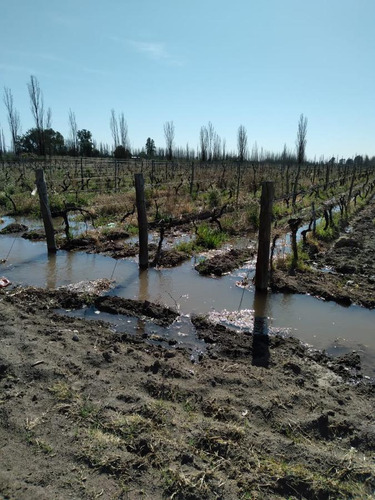 Finca Excelente San Rafael