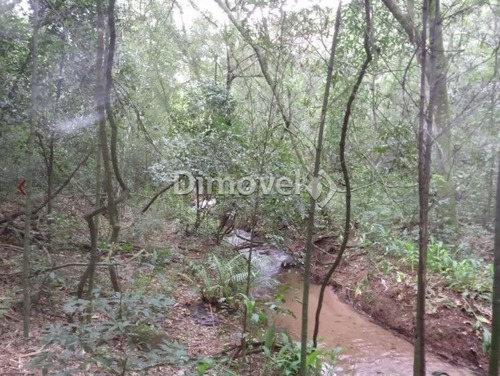 Imagem 13 de 13 de Sitio - Belem Velho - Ref: 21729 - V-21729