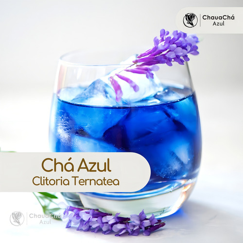 Chá Azul Premium 10g - 5l, Clitoria T. Flor Fada Cha Azul