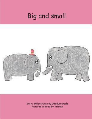 Libro Big And Small - Ian H Lee