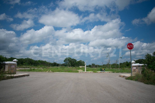 Terreno En Venta, En Chicxulub, Yucatán