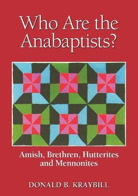 Libro Anabaptist Communities - Donald B. Kraybill