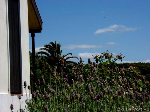 Alquiler Temp. Casa C/piscina + 5has. Flor De Azahar Colonia