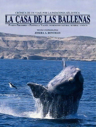 La Casa De Las Ballenas, De Joseba Andoni Bontigui Eskisabel. Editorial Lulu Com, Tapa Blanda En Español