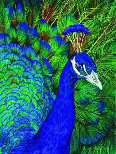 Sunsout Inc Peacock 1000 Pc Jigsaw Puzzle