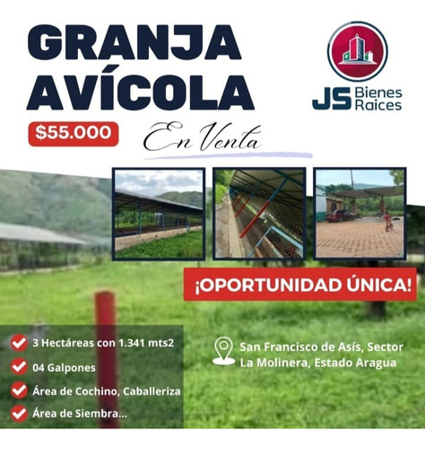 Granja Avícola En Venta San Francisco De Asis - Sector La Molinera Negociable. 002jsc