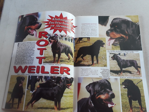 La Revista Del Perro N° 36 Terrier Chihuahua Rottweiler (Usado)