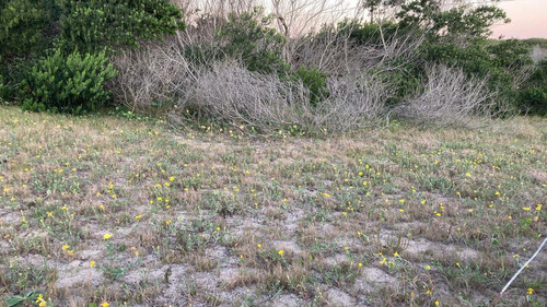 Venta De Terreno En Rocha