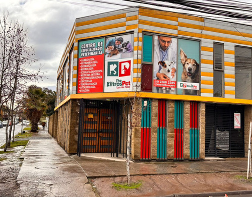 Local Comercial U Oficinas O Centro Medico En Buin