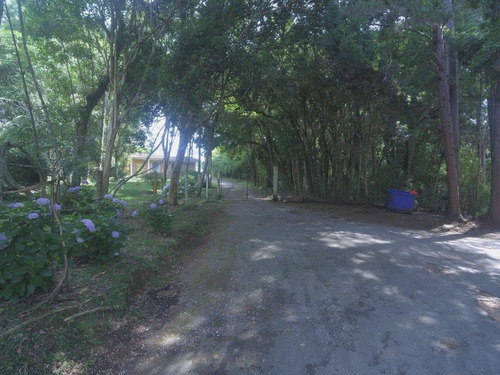 Imagem 2 de 30 de Chácara-fazenda-sítio À Venda Com 28723.3m² Por R$ 995.000,00 No Bairro Roça Velha - São José Dos Pinhais / Pr - Ch103