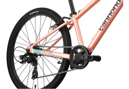 Cannondale top 24 quick