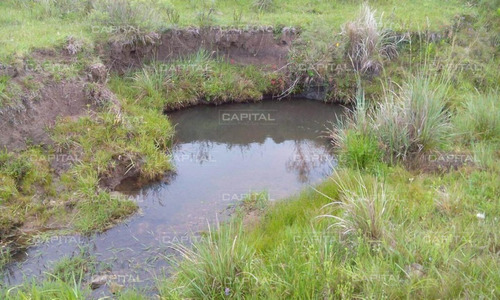 Excelente Campo De 91 Hectáreas En Venta - Lavalleja-ref:29054