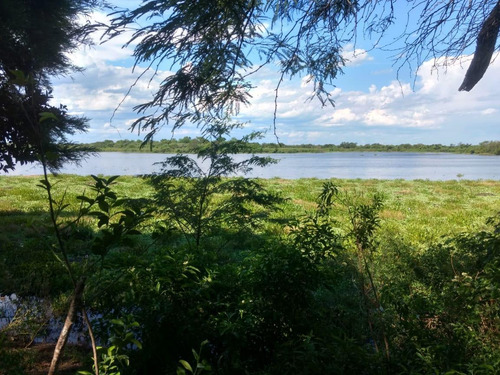 Imagen 3 de 5 de Campo En Venta - Rivadavia Banda Sur