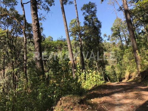 Imagen 8 de 10 de Terreno En Venta.