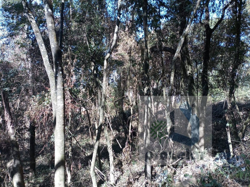 Imagem 13 de 14 de *** Lindo Terreno ***