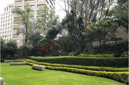 Imagen 5 de 25 de Renta Departamento En El Sur De La Ciudad De Mexico Begrand San Angel