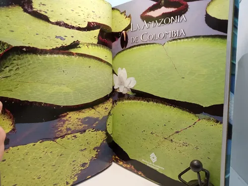 La Amazonía De Colombia - Banco De Occidente - Ambiente