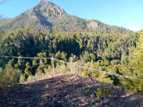 Molina, Radal Parcela De 5.000 M2 Rodeada De Bosque Nativo