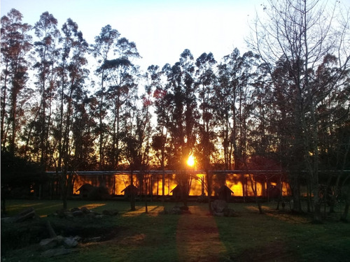 Campo De 2 ¼ Has En Sierra De Los Padres
