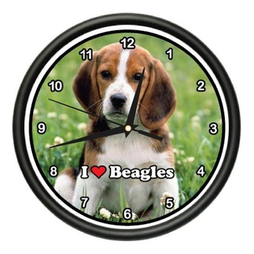 Beagle Reloj De Pared Perro Mascota Perros Cachorro Criador