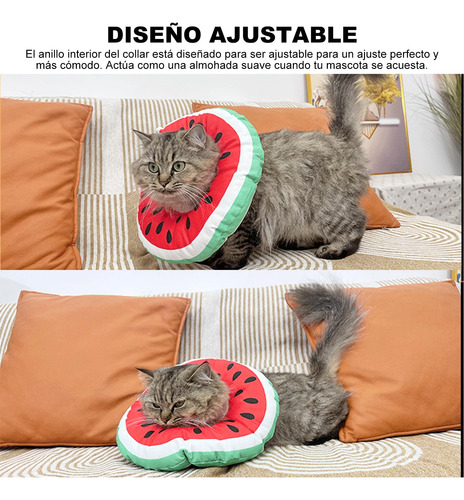 Collar De Recuperación Para Gatos Y Perro, Cono Isabelino,