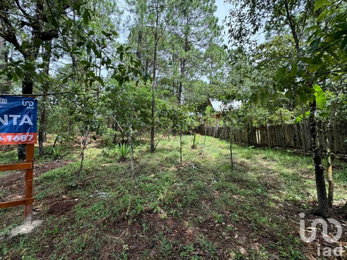 Venta Terreno 0 Ambiente Chijiltec (san Isidro)